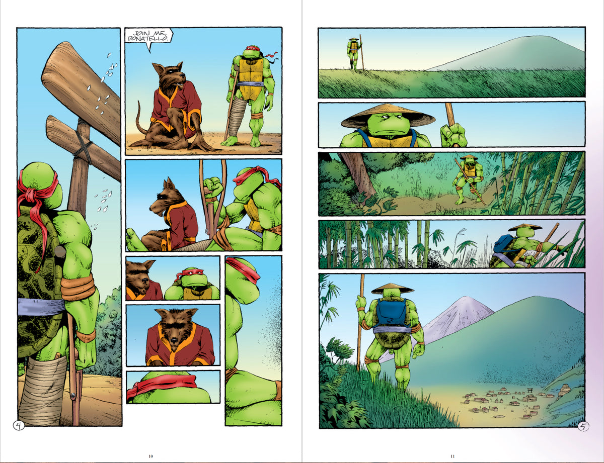 Teenage Mutant Ninja Turtles: The Mirage Years (1993–1995)