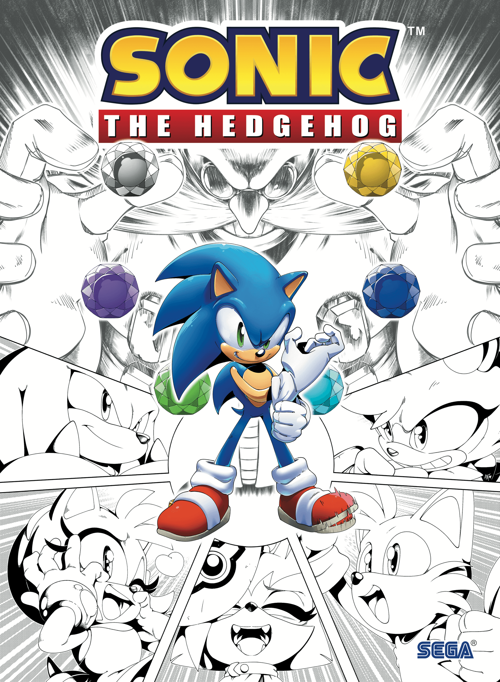 Sonic the Hedgehog: The IDW Comic Art Collection