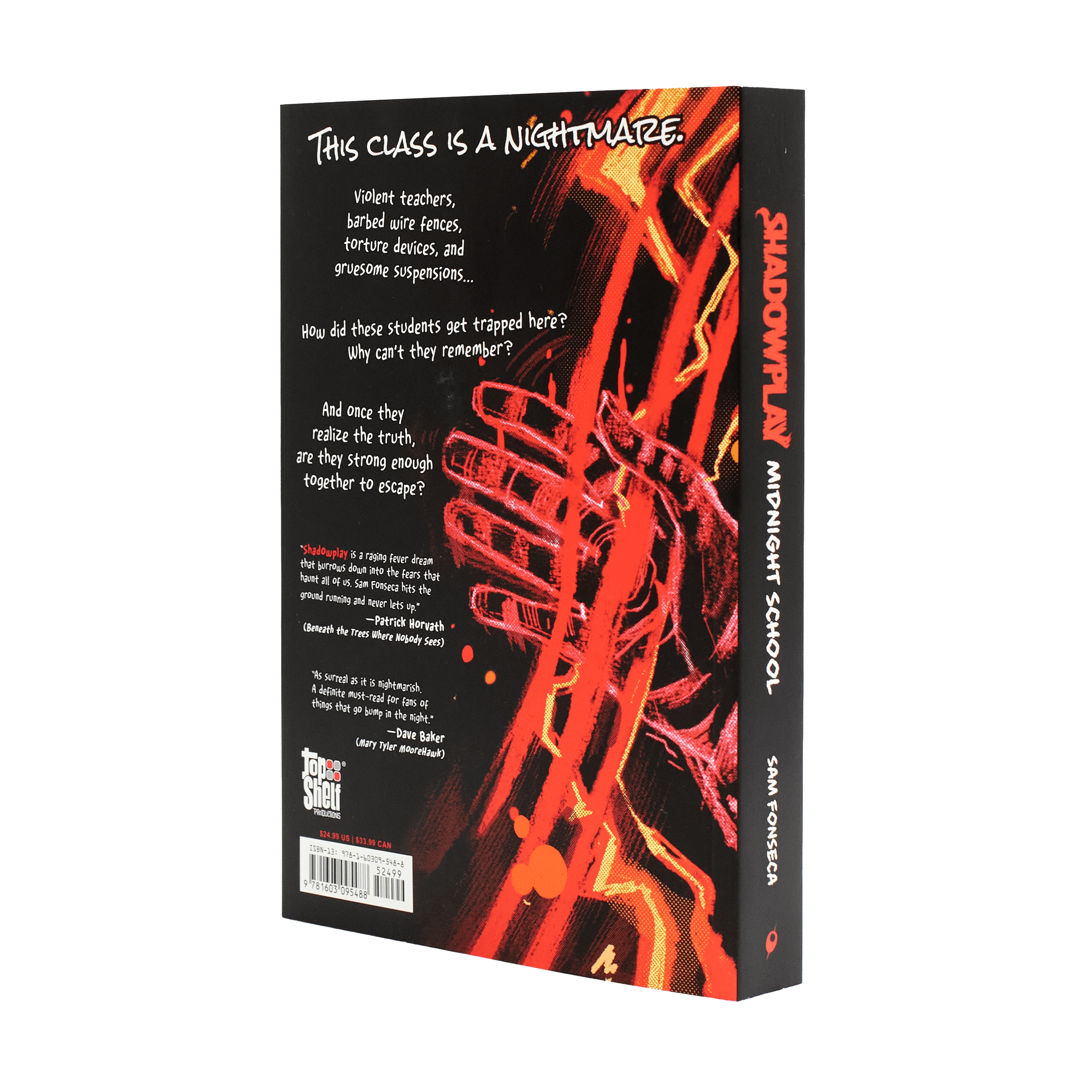 Shadowplay (Book 1): Midnight School