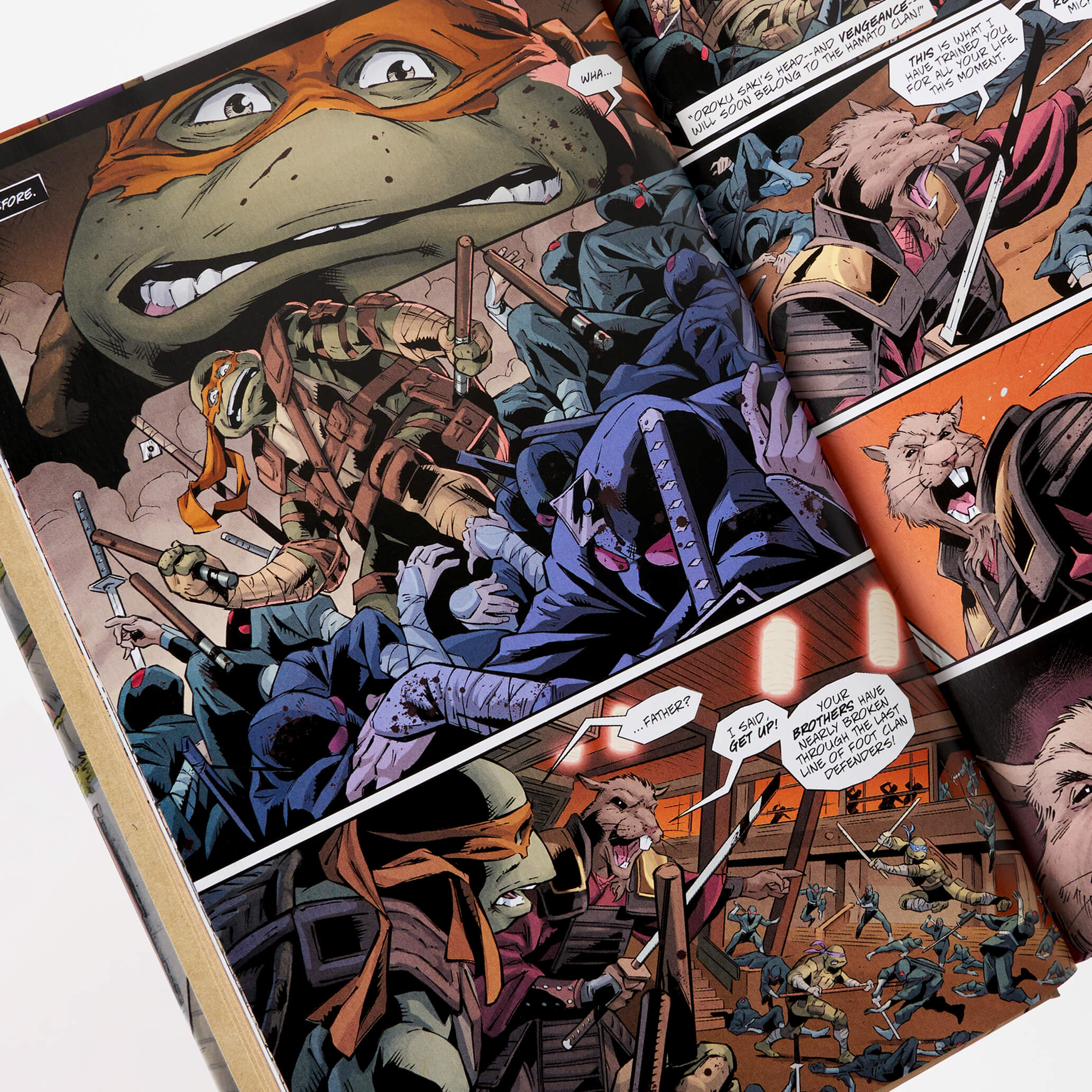 Teenage Mutant Ninja Turtles: The Last Ronin - The Lost Years