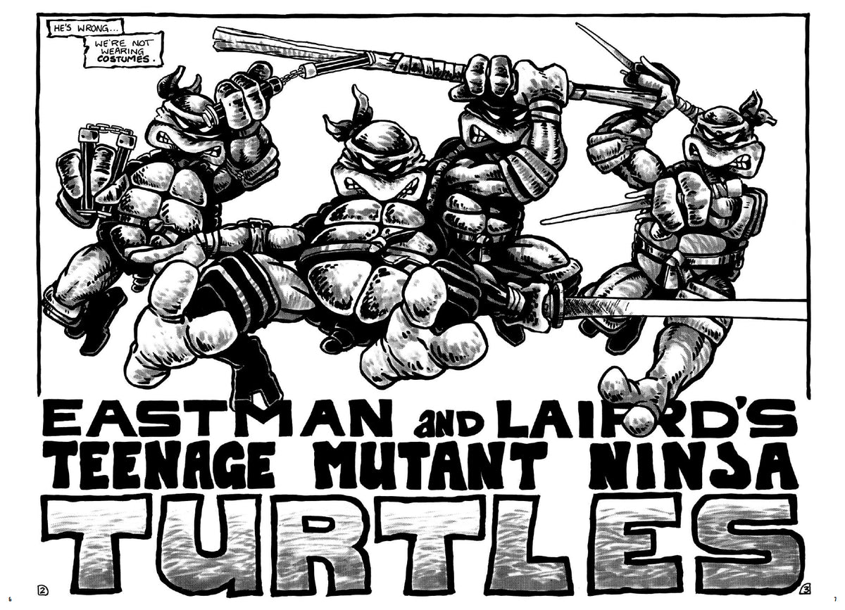 Teenage Mutant Ninja Turtles: The Mirage Years 1984-1987--IDW Classic Collections