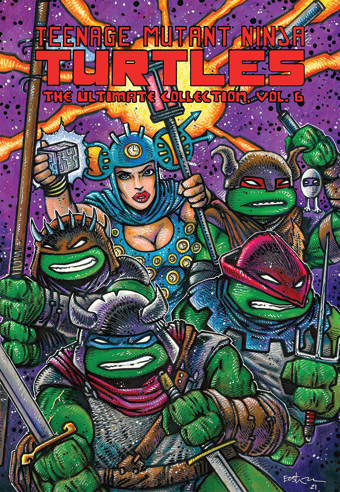 Follow the Ninja! (Teenage Mutant Ninja Turtles) [Book]