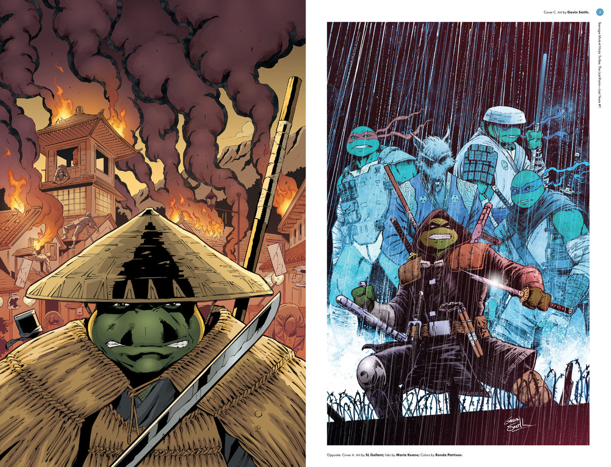 Teenage Mutant Ninja Turtles: The Last Ronin Lost Years--The Covers