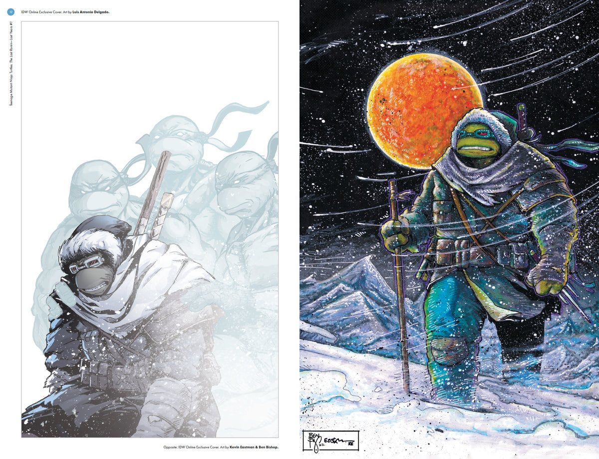 Teenage Mutant Ninja Turtles: The Last Ronin Lost Years--The Covers