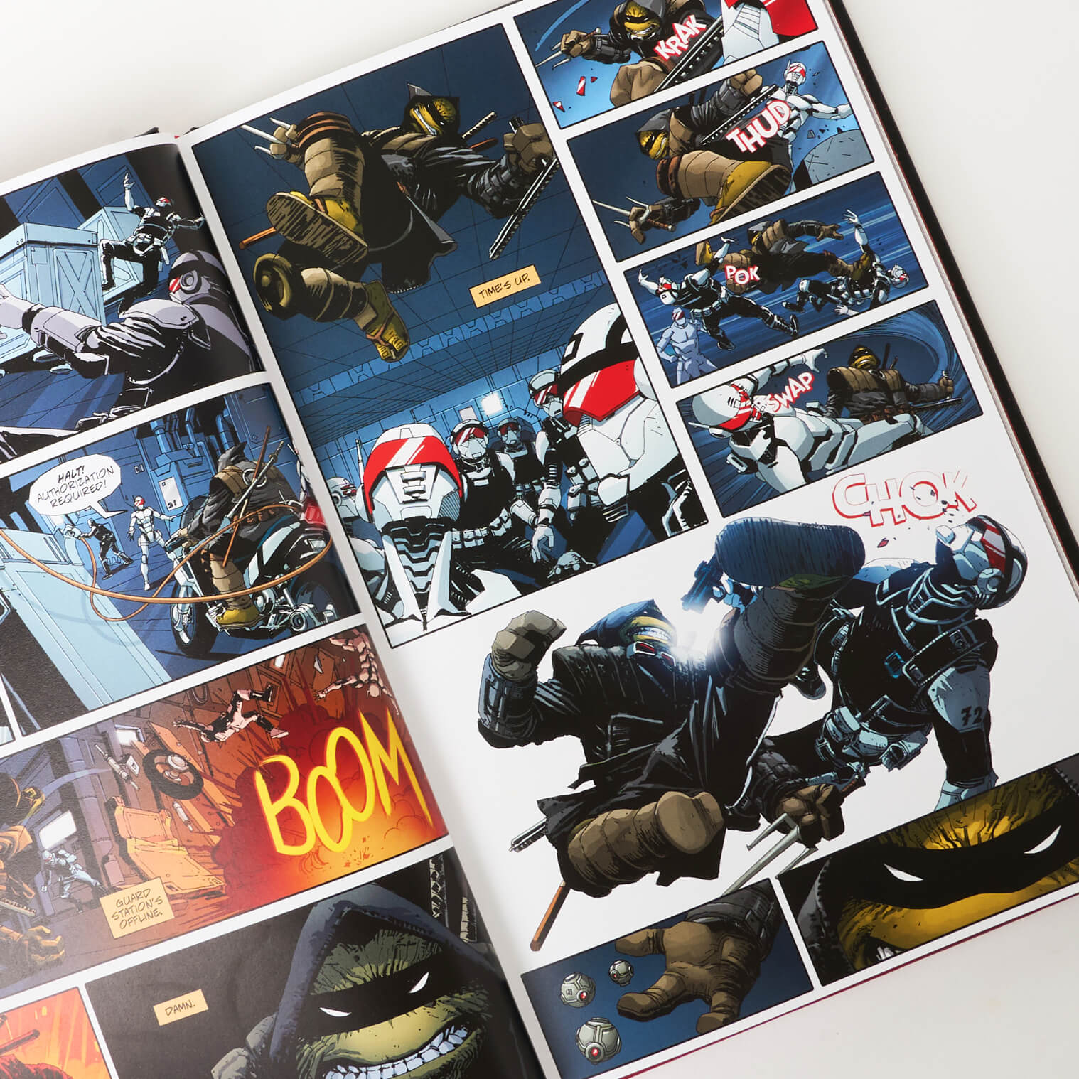 Teenage Mutant Ninja Turtles: The Last Ronin