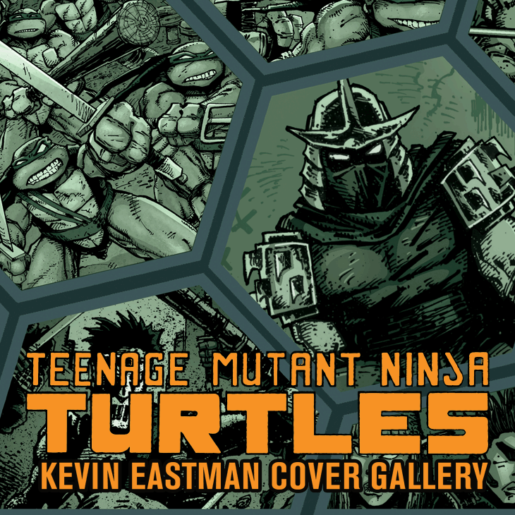 Kevin Eastman Cover Gallery