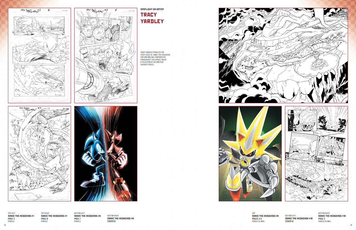 Sonic the Hedgehog: The IDW Comic Art Collection