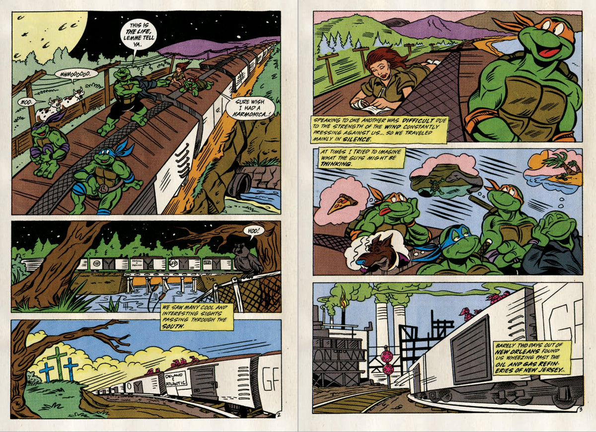 Teenage Mutant Ninja Turtles: Turtle Power Pack, Vol. 1