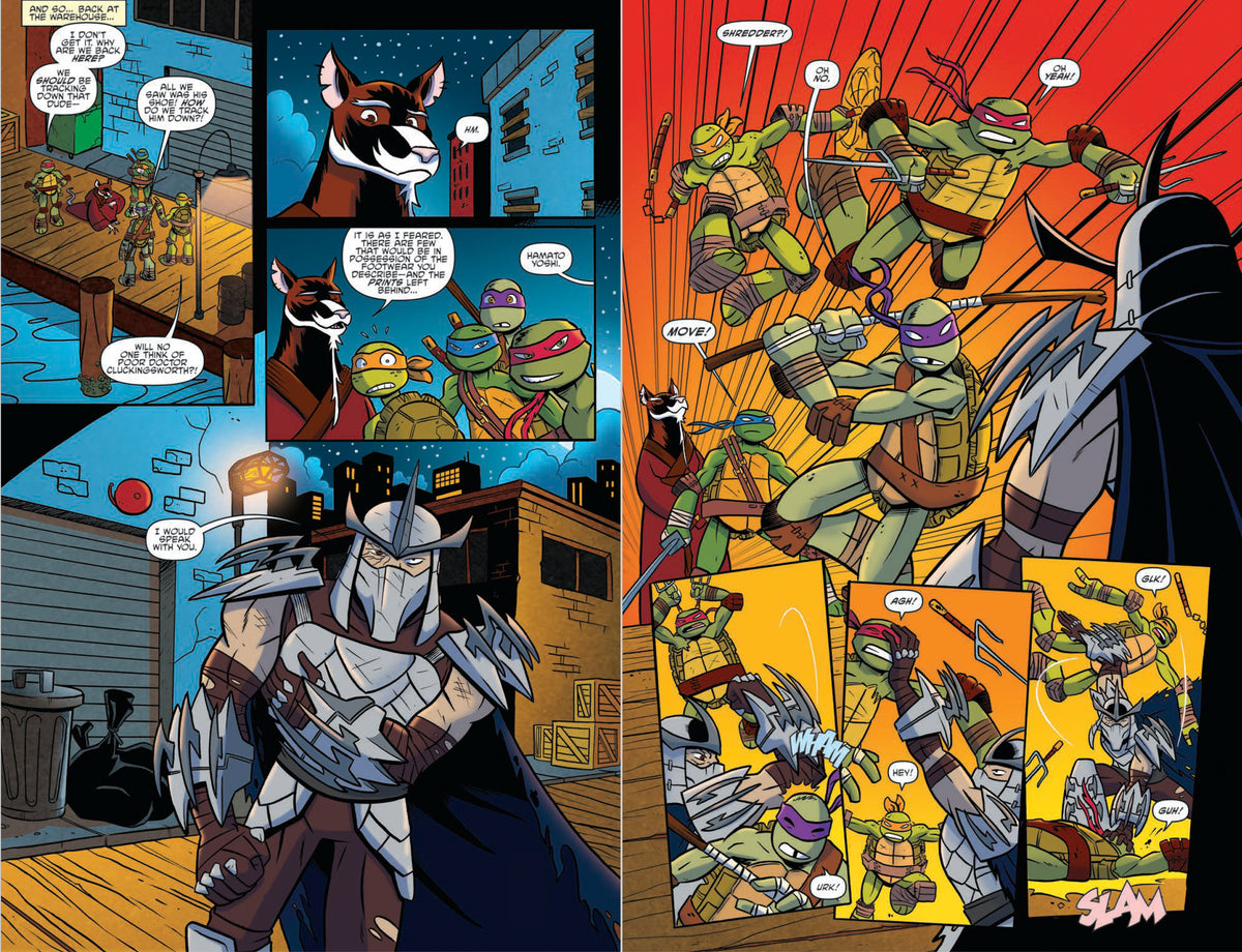 Teenage Mutant Ninja Turtles: Amazing Adventures Omnibus