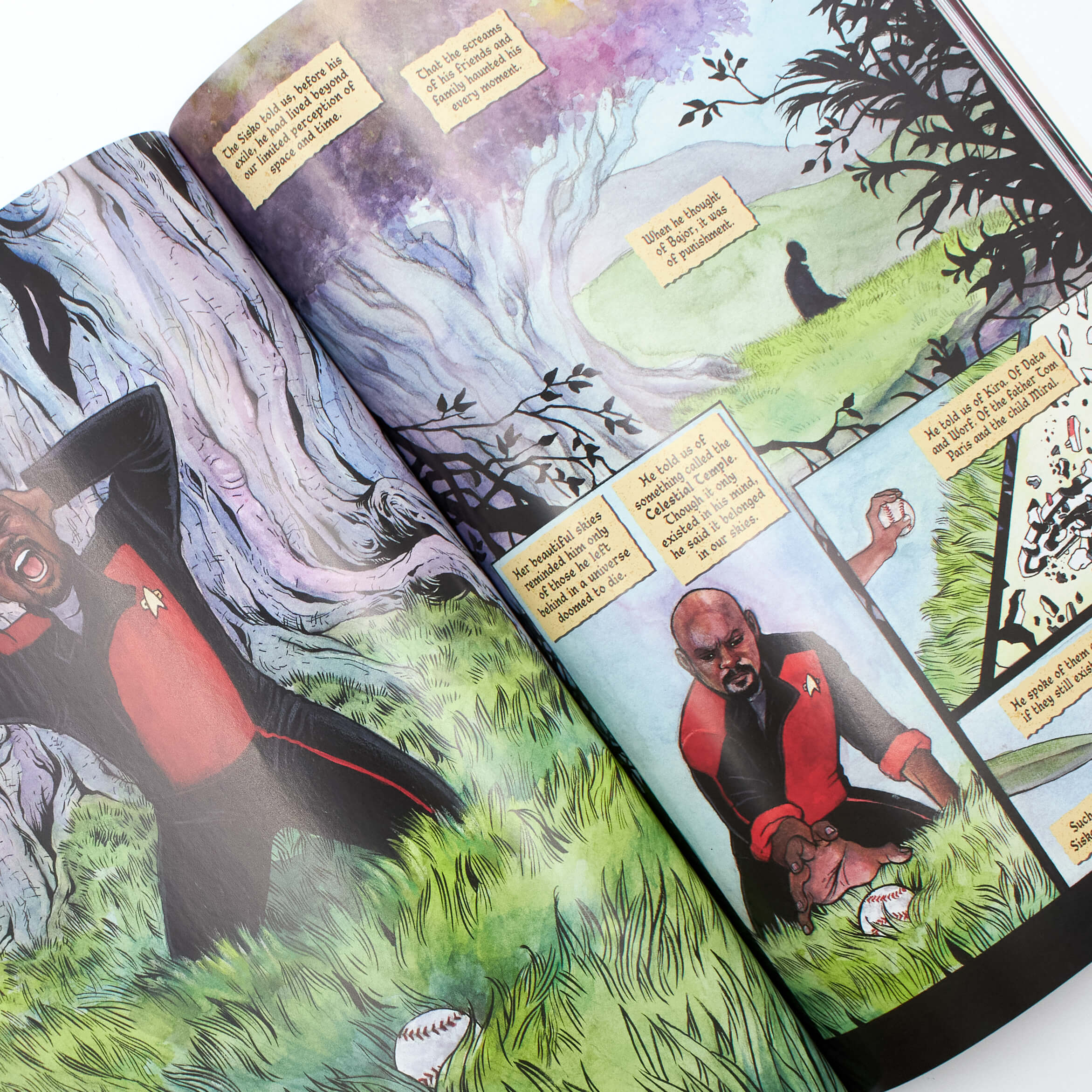 Star Trek, Vol. 5: When the Walls Fell